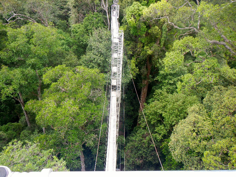 The Canopy Walkway From Atop The First Tower
