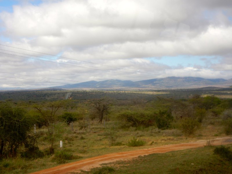 Driving through Northern Tanzania