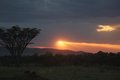 Sunset in the Serengeti