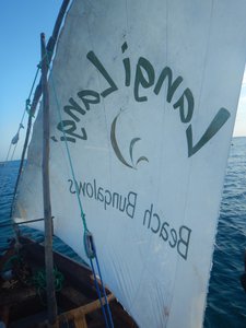 Sailing on a Dhow