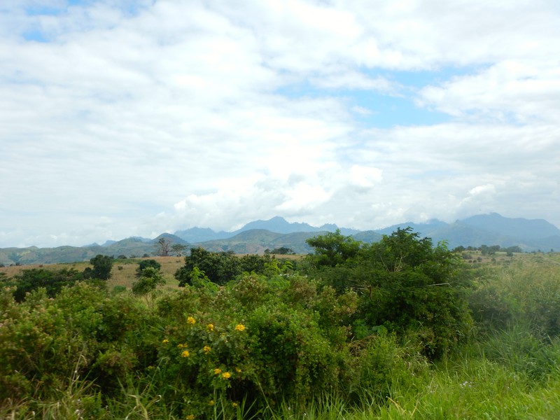 Tanzanian countryside