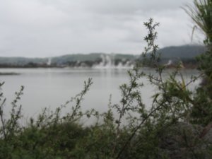 Lake Rotaura