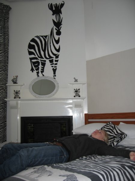 Our 'Zebra' roomin Greymouth