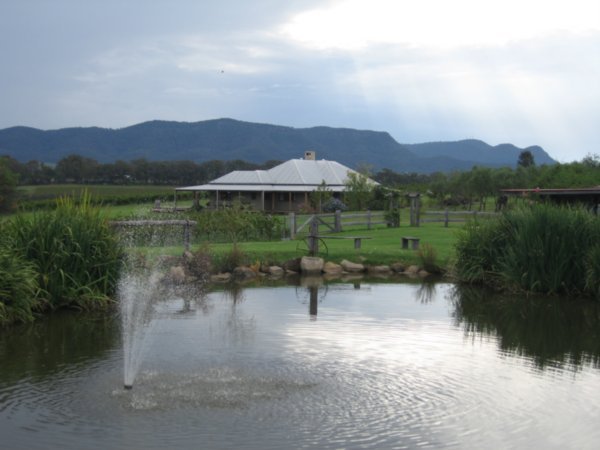 The Hanging Tree winery