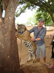 James playing with a tiger cub