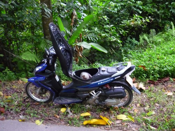 James motorbike, which had broken down