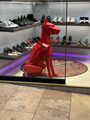 Leather dog display