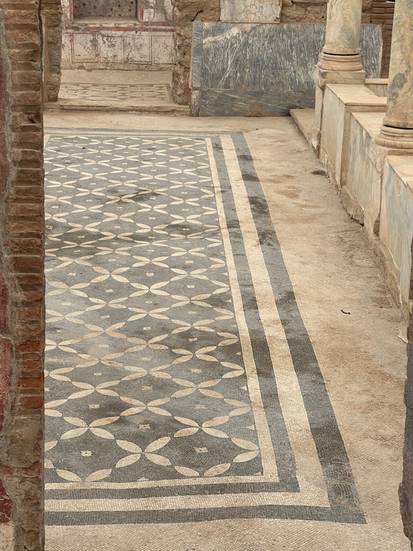 Mosaic floor in terrace houses