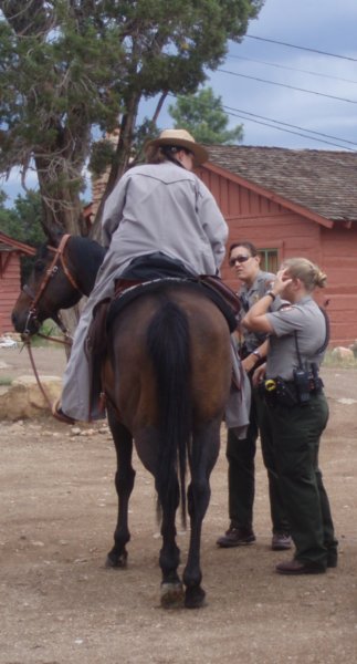 Horse and Ranger's Butt