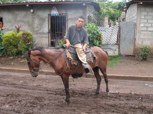 Man on a Brown Horse