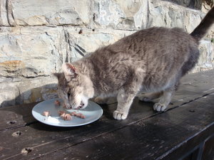 Sixten's having a last meal from us..