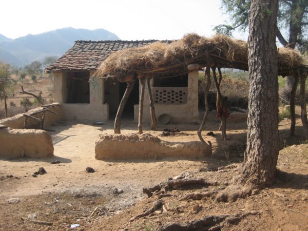 Traditional Tribal Hut