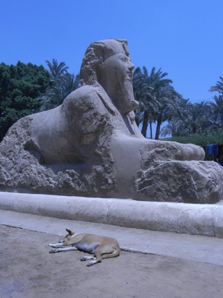 Dog near a 2000BC statue
