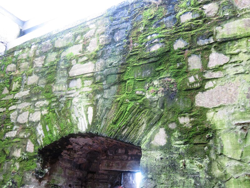 The Green of Ireland Inside Trim Castle