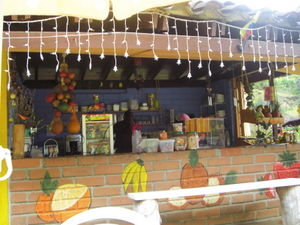cafe with a million fresh fruits