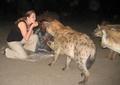 Feeding Hyena, Who's Next...