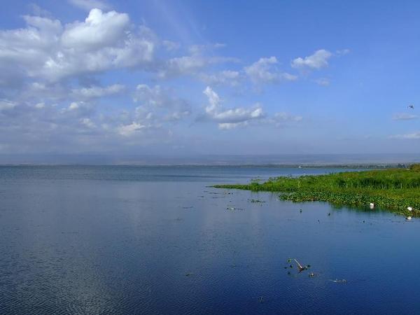 Lake Nivasha