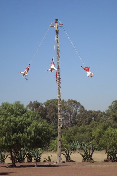 Crazy hanging swinging upside down men