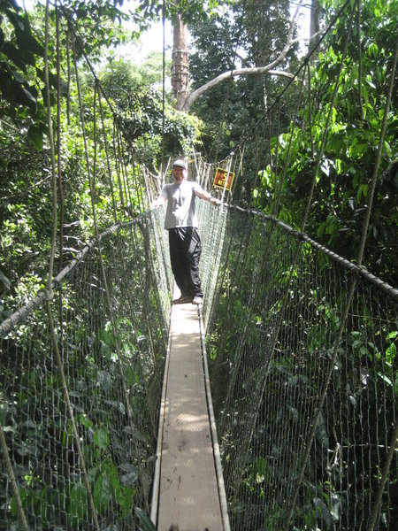 On the hanging bridges