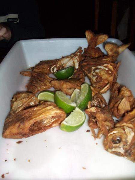 Piranha Feast