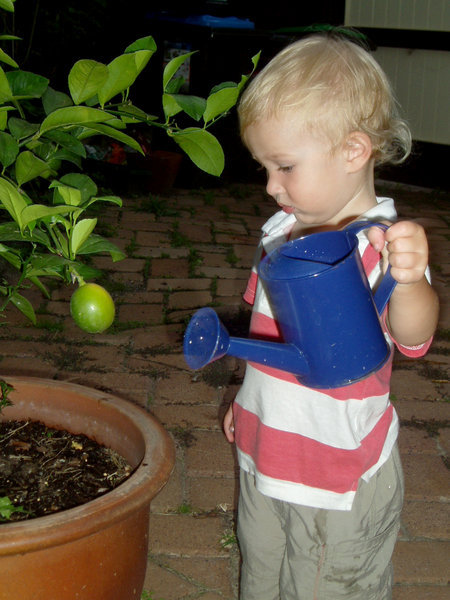 Watering the Garden
