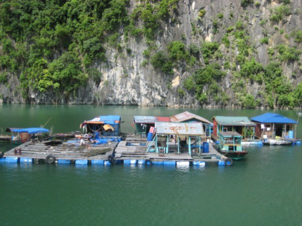 Floating villiage, Halong Bay