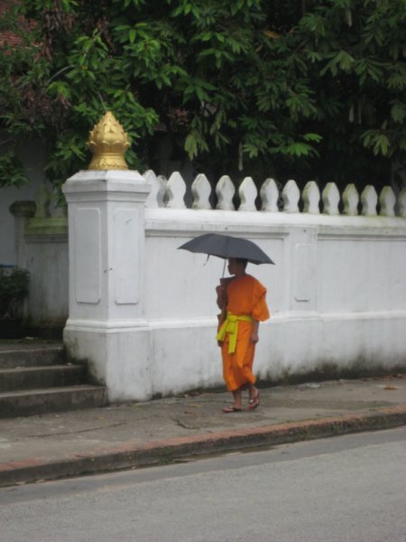 A monk in Luang Prabang