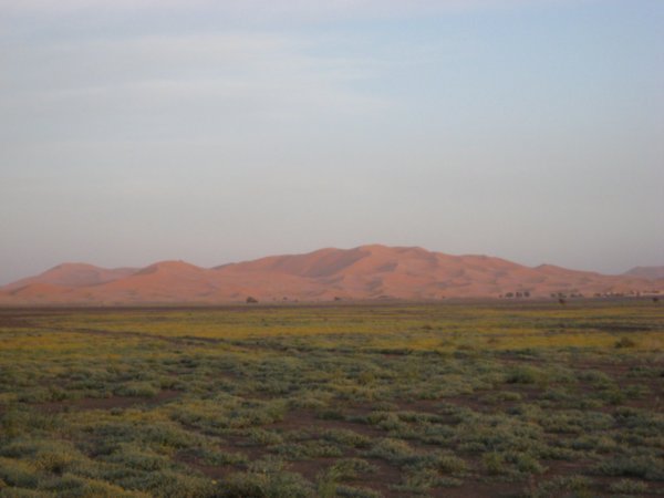Sahara desert rising in the distance