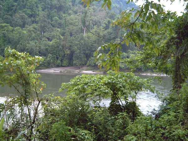 View of Jia Bhoreli river