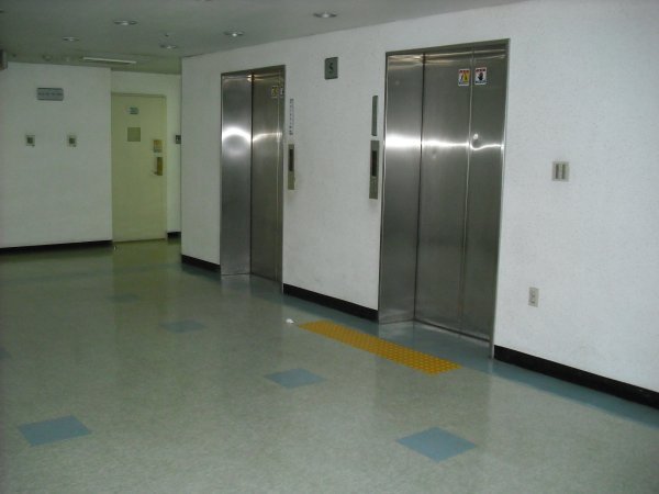Elevator Bank View from Apt Door