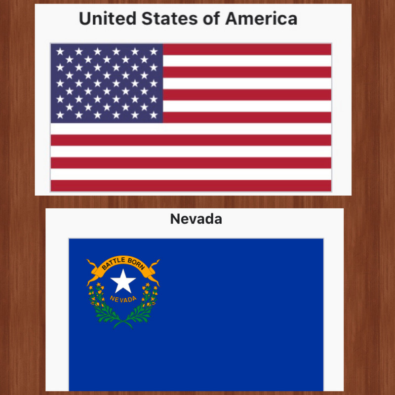USA and Nevada Flags
