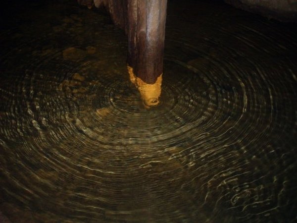 Water Ripples 3