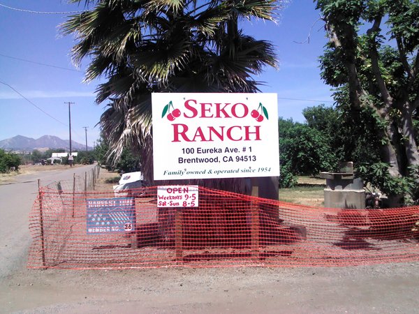 Seko Ranch Sign