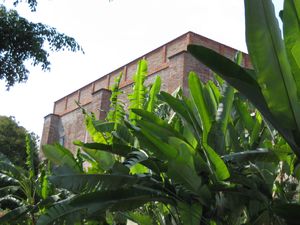 banano front of  cane processing factory