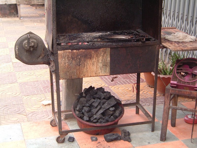 barbecued lizzards