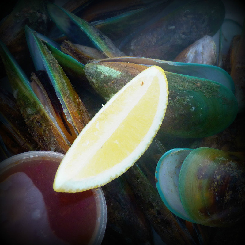 Mussels3