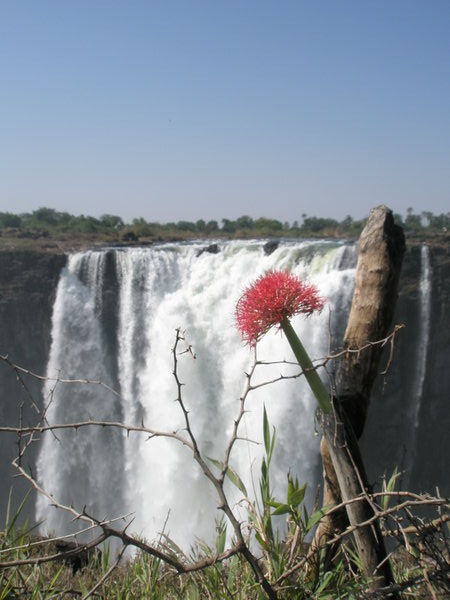 Vic Falls from Zimbabwe