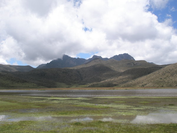 Cotapaxi National Park