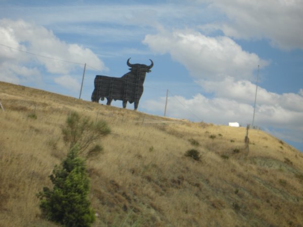 Random Bull on the Road to Nerja