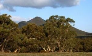 Stirling ranges- just outside Albany