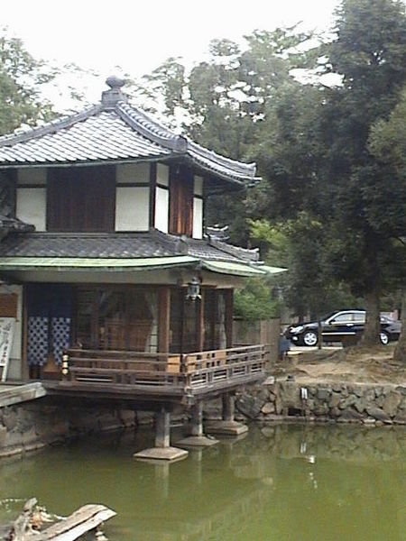 tea house on pond at Kofukuji temple