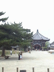 traditional building in Nara 2