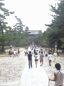 Entrance to Todaiji temple