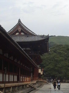 Todaiji by the hills