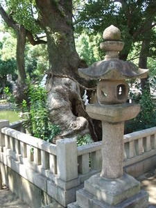 lantern and tree