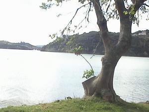 Bay of Islands campsite in Paihia