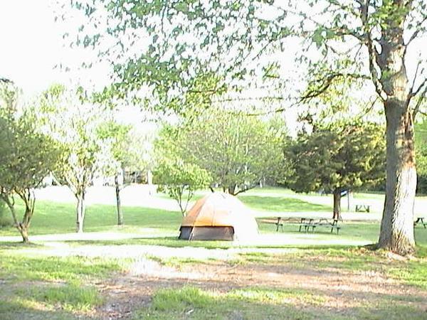 Rotorua campsite