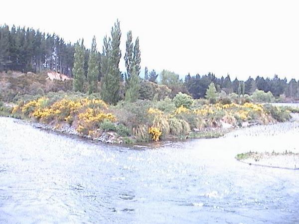 Tongariro river 2