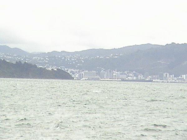 Wellington from across the Bay