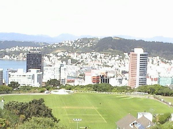 view of Wellington from the botanic garden